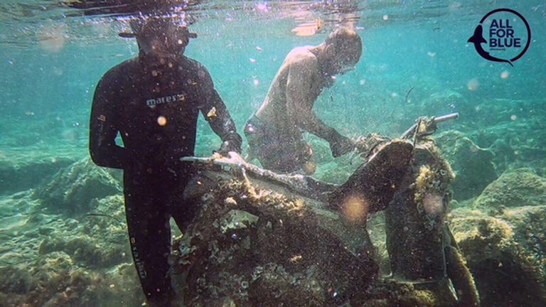 Katharismos paralias