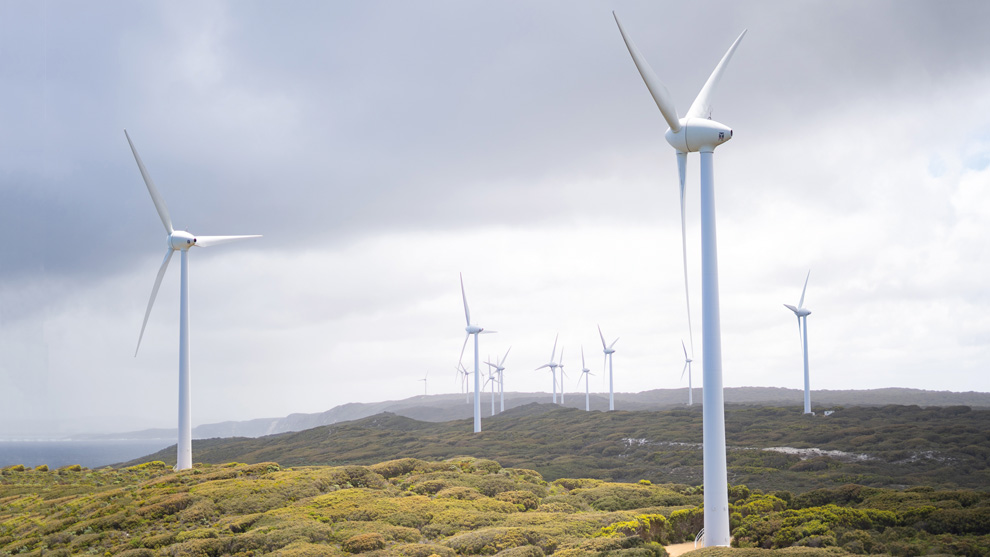 photo of wind turbines